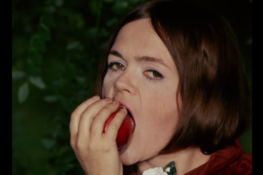 Devětsil – Uma vanguarda tcheca