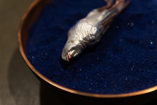 Itinerância Bienal de São Paulo