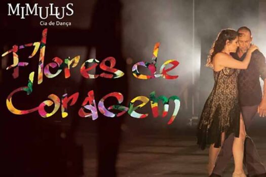 Melhores Momentos Mimulus – nov24